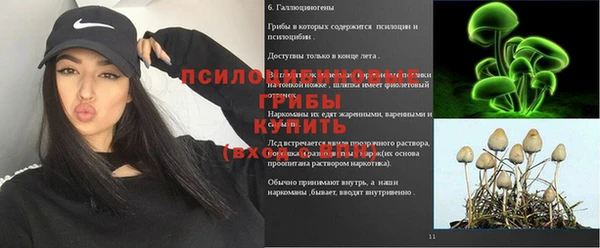 амф Алексеевка