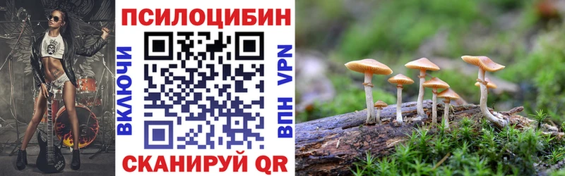 Псилоцибиновые грибы Psilocybine cubensis  что такое наркотик  Осташков 